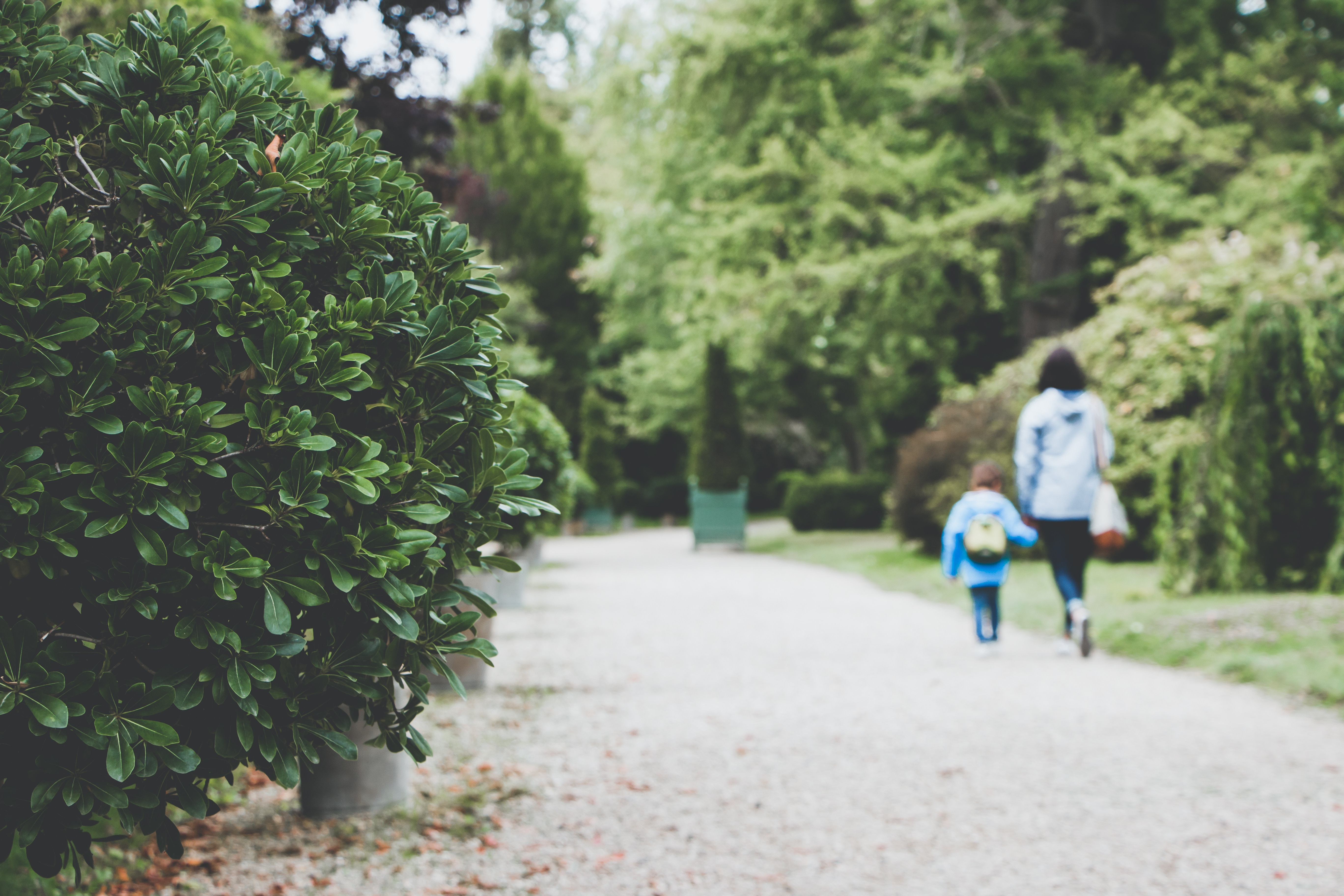 parenting-with-migraines-essays